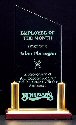 Zenith Jade Acrylic Trophy With Rosewood