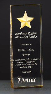 Constellation Wedge Clear Acrylic Award