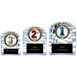Wrestling insert award stands ice acrylic three heights available