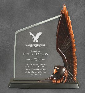 Clear Acrylic Award With a Resin Bronze Eagle