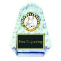 Acrylic Awards
