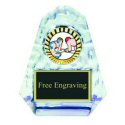 Wrestling Trophies