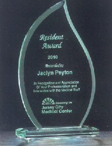 Flame Shaped Glass Award