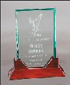 Prestige Rectangle Rosewood Glass Award