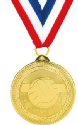 Britelazer Volleyball Medal