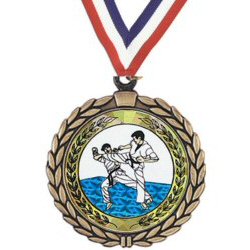 martial arts insert medal
