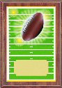 Economy Football Plaque