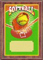 Economy Softball Plaque