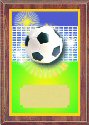 Economy Soccer Plaque