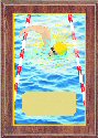 Economy Swim Plaque