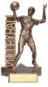 Male Volleyball Player Billboard Trophy