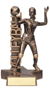 Female Volleyball Billboard Trophy