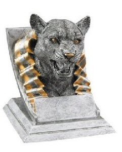 Cougar Spirit Mascot Award