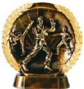 Bronze Plate Karate Trophy (Male)