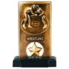 Bronze finish wrestling spin resin