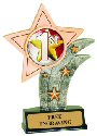 1st, 2nd, 3rd Place Theme Resin Star