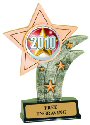 2012 Theme Resin Star
