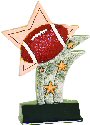 Football Resin Star