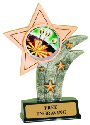 Darts Theme Resin Star