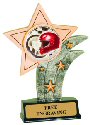 Racing Theme Resin Star