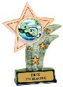 Star Swimming Awards