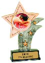 Wrestling Theme Resin Star