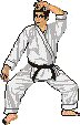 Martial Arts