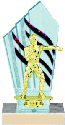 Diamondback Boxing Trophy