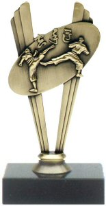 Karate theme metal trophy