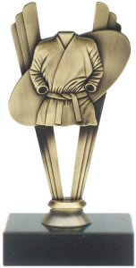 Judo theme metal trophy