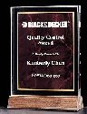Walnut Ruby Marble Acrylic Award