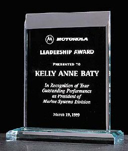 Pinnacle Series Acrylic Award