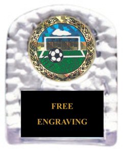 Soccer Sculpted Ice Stand Trophy