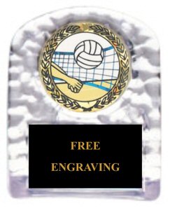Volleyball Sculpted Ice Stand Trophy