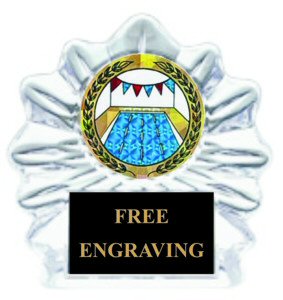 Acrylic Flame Swimming Trophy