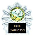 Acrylic Ice Flame Volleyball Trophy