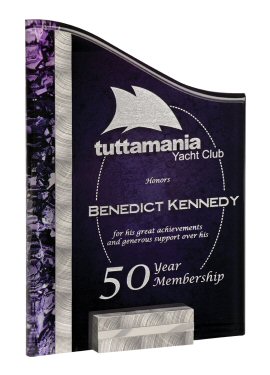 Purple and Silver Inspire Acrylic Award