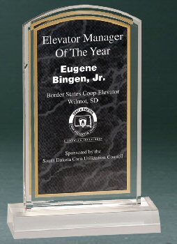 Black Marbleized Acrylic Award