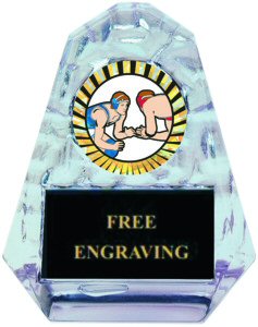 Pyramid Ice Wrestling Acrylic Award