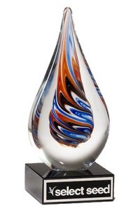 Teardrop Shaped Art Glass Award