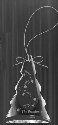 Crystal Christmas Tree Ornament