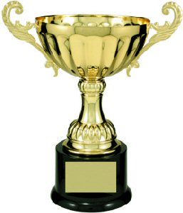 Gold Metal Cup Trophy