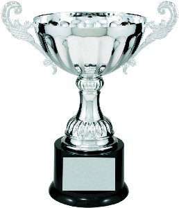 Silver Metal Cup Trophy