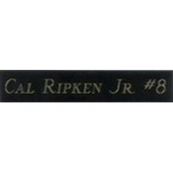 Deluxe One Line Ball Holder Plate