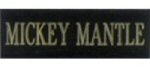 Economy Small One Line Plate