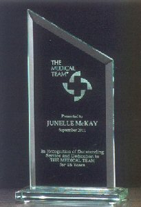 Zenith Series Glass Award