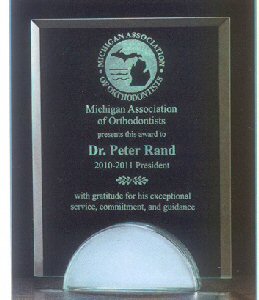 Rectangular Shaped Glass Award