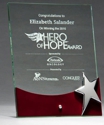 Silver Star Glass Award