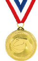 Britelazer Basketball Medal