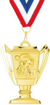 Trophy Cup Wrestling Medal